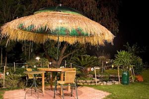 The Homestead Resort